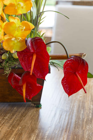 Floral Arrangement No. 11 - $249